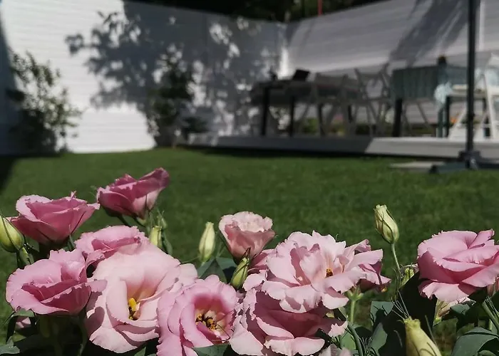 Dream House Pensjonat Carewo