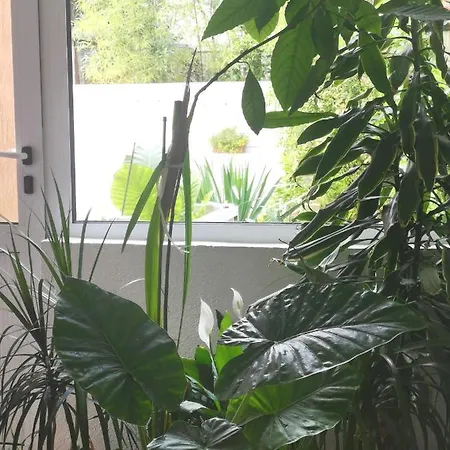 Dream House Konukevi 2*