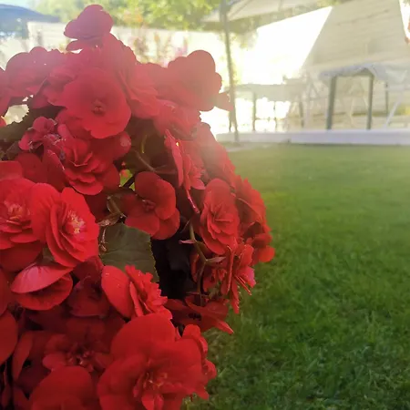 Dream House Affittacamere Tsarevo