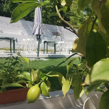 Konukevi Dream House