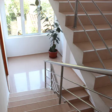 Dream House 2* Царёво