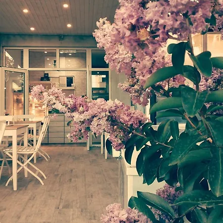 Dream House Guest house 2*