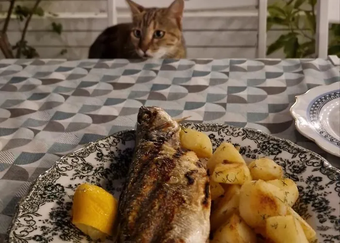 Affittacamere Dream House 2*