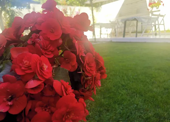 Dream House Affittacamere Tsarevo